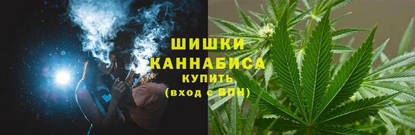 индика Гусев