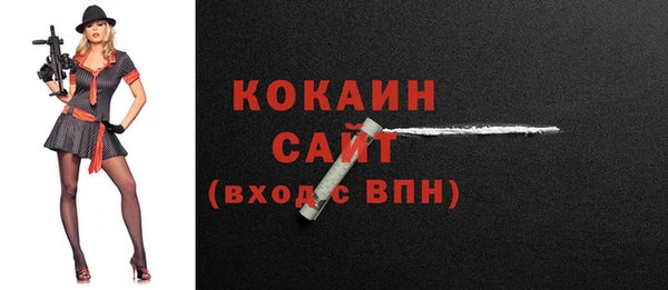 индика Гусев