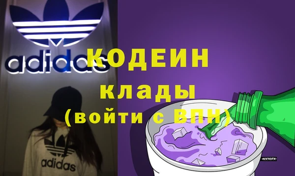 хмурый Дмитров