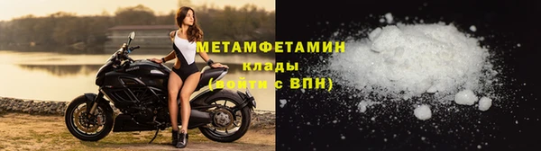 индика Гусев
