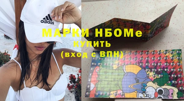 индика Гусев