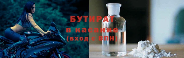индика Гусев