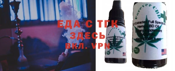 индика Гусев