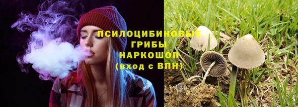 альфа пвп Гусиноозёрск