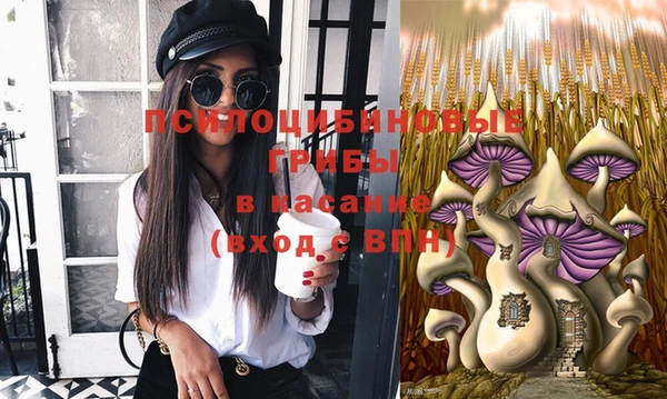 индика Гусев