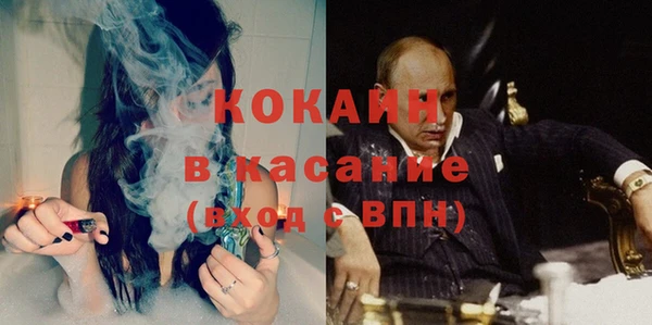 индика Гусев