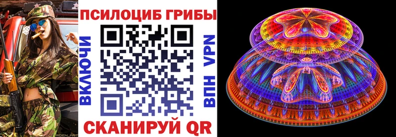 Галлюциногенные грибы Cubensis  Гурьевск 